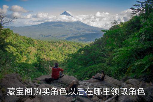 藏宝阁手游怎么领皮肤，藏宝阁购买角色以后在哪里领取角色