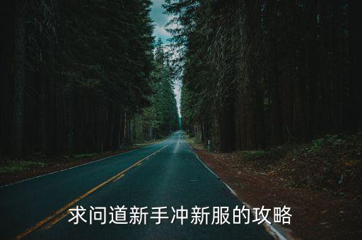 手游问道开服第一天怎么玩，问道手游火前期怎么玩