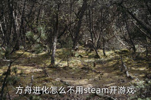 方舟手游怎么玩不用手柄，方舟进化怎么不用steam开游戏