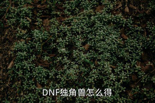 DNF独角兽怎么得