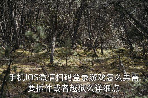 手机IOS微信扫码登录游戏怎么弄需要插件或者越狱么详细点