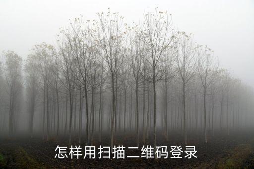 怎样用扫描二维码登录