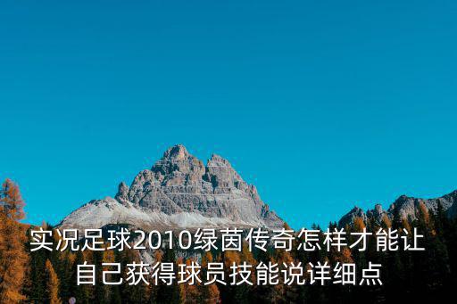 实况足球2010绿茵传奇怎样才能让自己获得球员技能说详细点