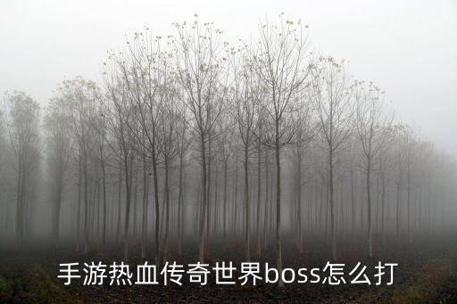 手游热血传奇世界boss怎么打