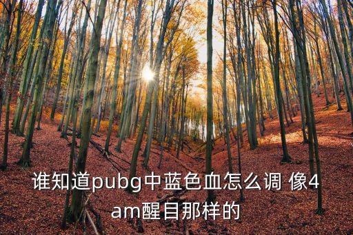 谁知道pubg中蓝色血怎么调 像4am醒目那样的