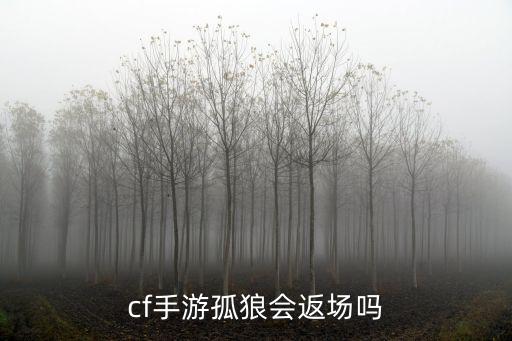 cf手游孤狼会返场吗