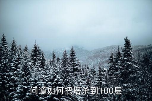 问道如何把塔杀到100层