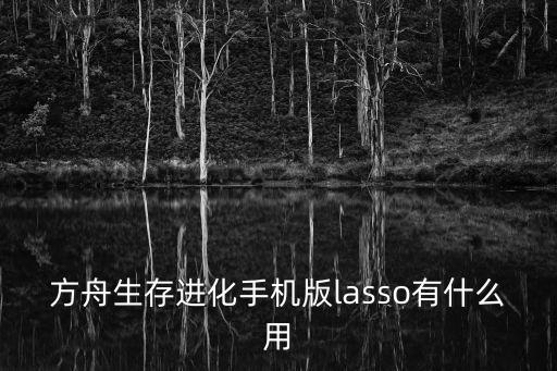 方舟生存进化手机版lasso有什么用