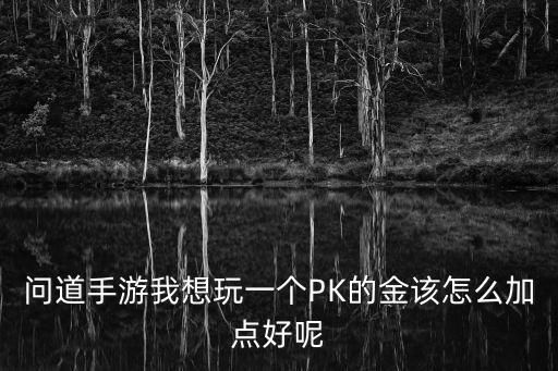 问道手游我想玩一个PK的金该怎么加点好呢