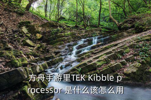 方舟手游里TEK Kibble processor 是什么该怎么用