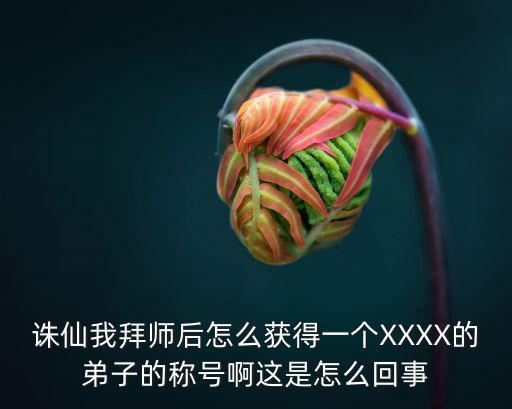 诛仙我拜师后怎么获得一个XXXX的弟子的称号啊这是怎么回事