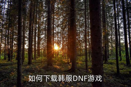 如何下载韩服DNF游戏