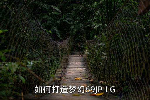 如何打造梦幻69JP LG