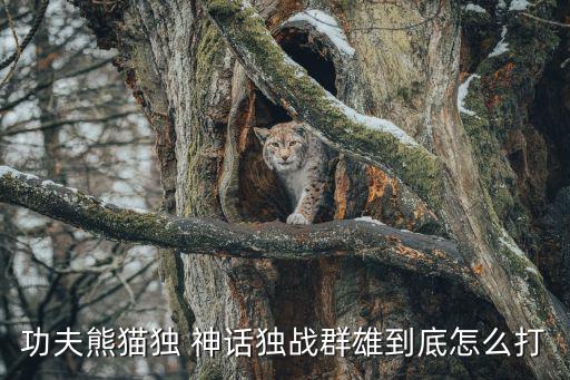 功夫熊猫独 神话独战群雄到底怎么打