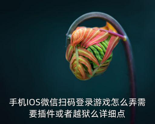 怎么设置lol手游微信扫码登录，如何调用微信扫一扫扫描二维码