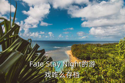 Fate Stay Night的游戏咋么存档