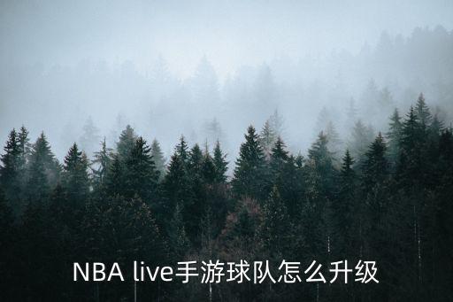 NBA live手游球队怎么升级