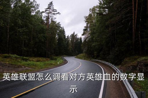 英雄联盟怎么调看对方英雄血的数字显示