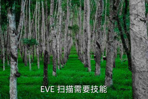 EVE 扫描需要技能