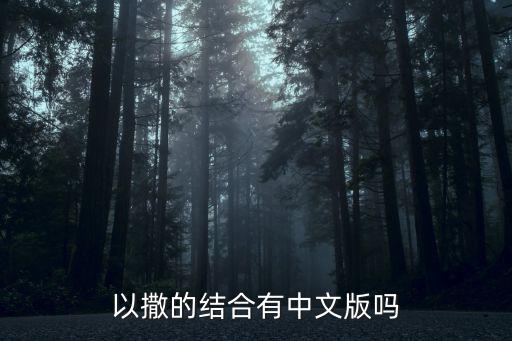 以撒的结合有中文版吗