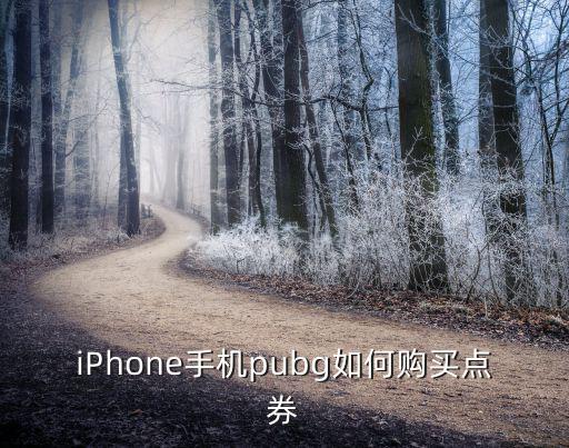 iPhone手机pubg如何购买点券