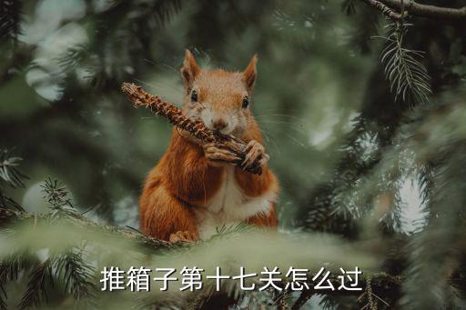 推箱子第十七关怎么过