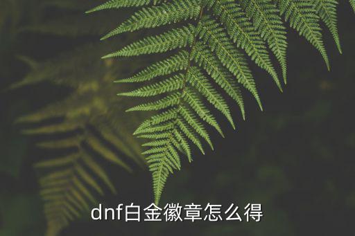 dnf白金徽章怎么得