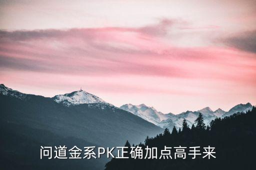 问道金系PK正确加点高手来