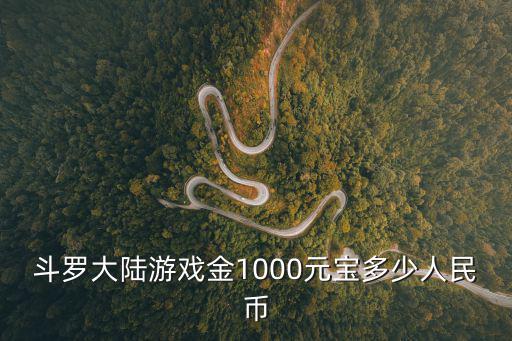 斗罗大陆游戏金1000元宝多少人民币