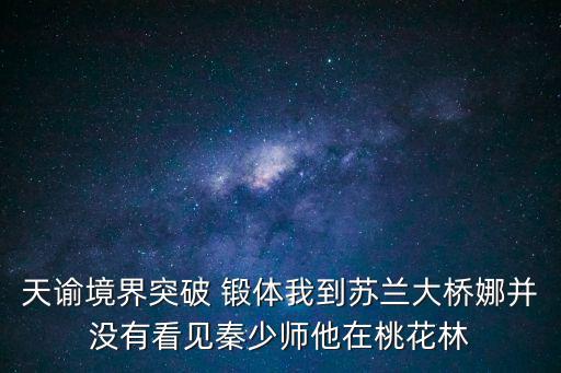 天谕境界突破 锻体我到苏兰大桥娜并没有看见秦少师他在桃花林