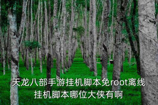 天龙八部手游挂机脚本免root离线挂机脚本哪位大侠有啊