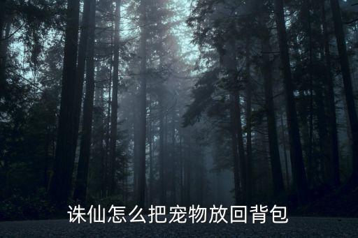 诛仙手游宠物怎么放回来，诛仙怎么把宠物放回背包