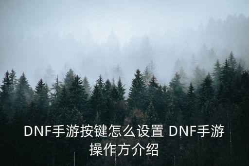 DNF手游按键怎么设置 DNF手游操作方介绍