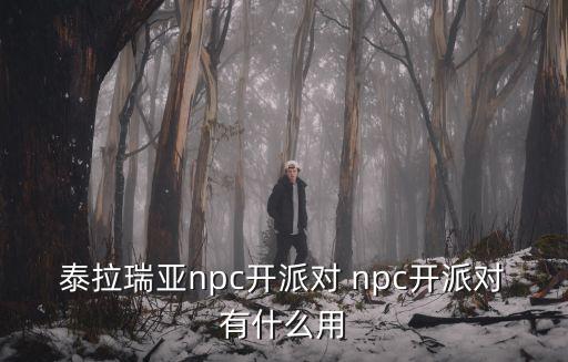 泰拉瑞亚npc开派对 npc开派对有什么用