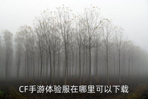 CF手游体验服在哪里可以下载