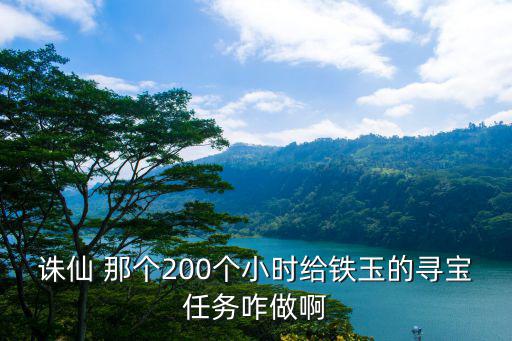 诛仙 那个200个小时给铁玉的寻宝任务咋做啊