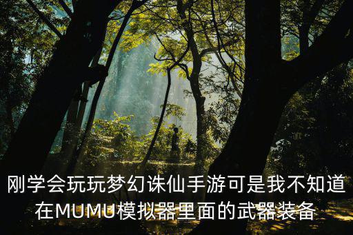 刚学会玩玩梦幻诛仙手游可是我不知道在MUMU模拟器里面的武器装备