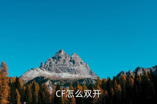 CF怎么双开