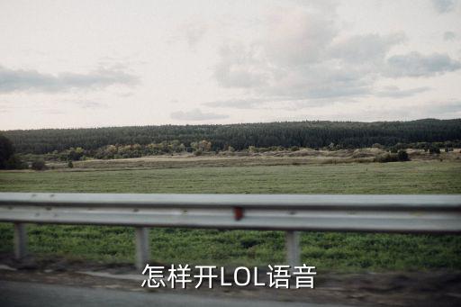 怎样开LOL语音