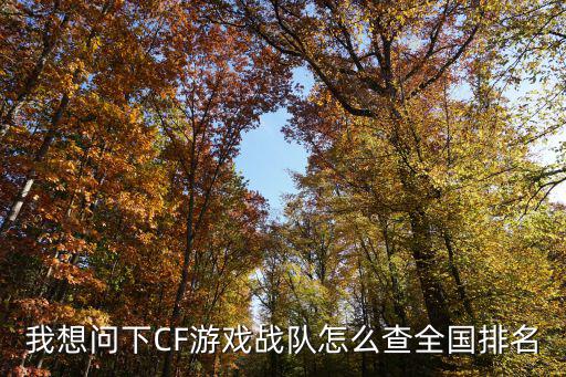 我想问下CF游戏战队怎么查全国排名