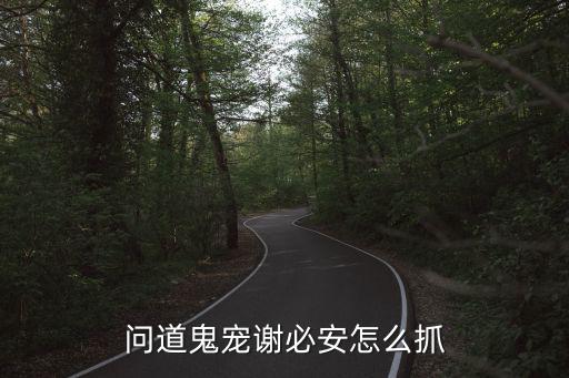 问道鬼宠谢必安怎么抓