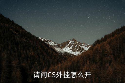 请问CS外挂怎么开