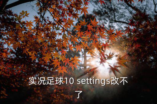 实况足球10 settings改不了