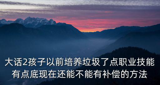 大话2孩子以前培养垃圾了点职业技能有点底现在还能不能有补偿的方法