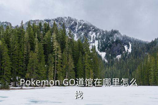 掌机小精灵手游第一间道馆怎么过，Pokemon GO道馆在哪里怎么找