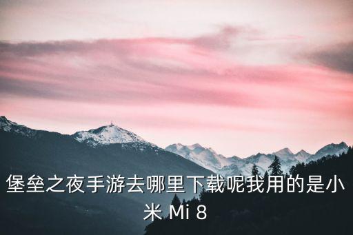 堡垒之夜手游去哪里下载呢我用的是小米 Mi 8