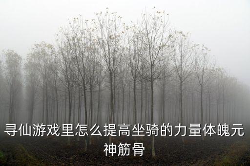 寻仙游戏里怎么提高坐骑的力量体魄元神筋骨