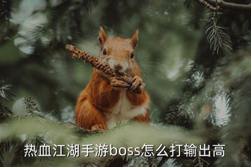 热血江湖手游boss怎么打输出高