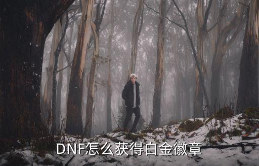 DNF怎么获得白金徽章