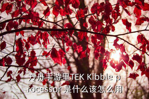 方舟手游里TEK Kibble processor 是什么该怎么用